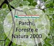 “Misure di conservazione generali e specifiche dei siti Natura 2000”