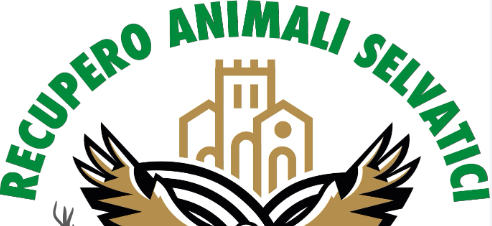 Liberazione di animali selvatici 